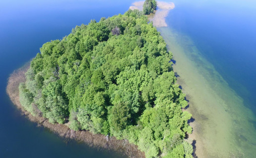 13_Pliksale2. S. Kvasinsko n.jpg